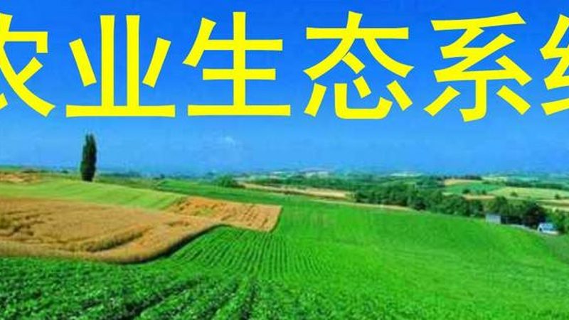 農(nóng)資短視頻獲客，別被流量思維帶偏