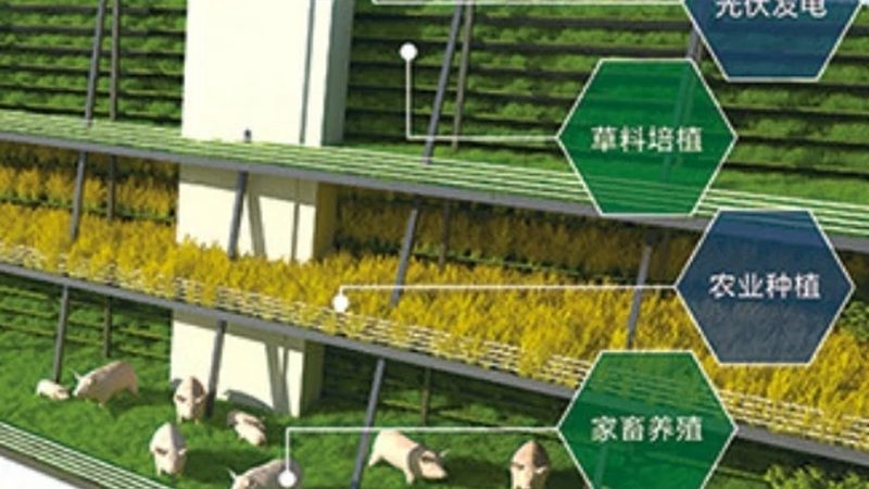小規(guī)模農(nóng)業(yè)項目的價格到底卡在哪