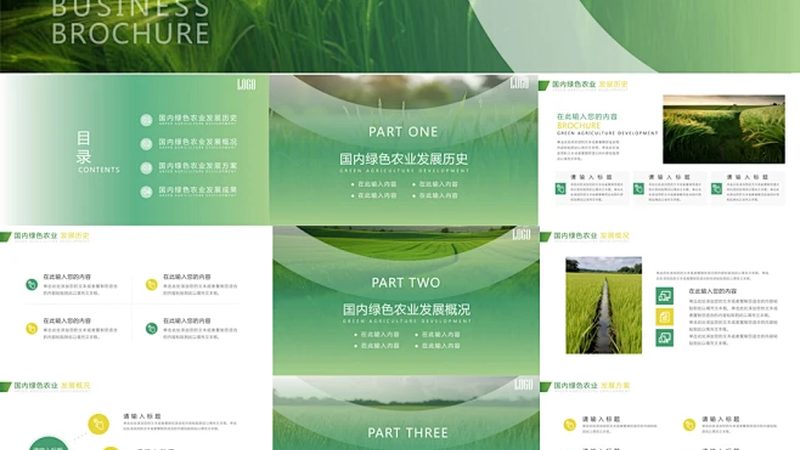 南方水稻種植區(qū)：主要省份的種植特點(diǎn)與挑戰(zhàn)